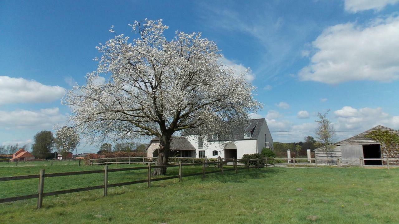 De Weide Poort Bed and Breakfast Beerse Eksteriør billede