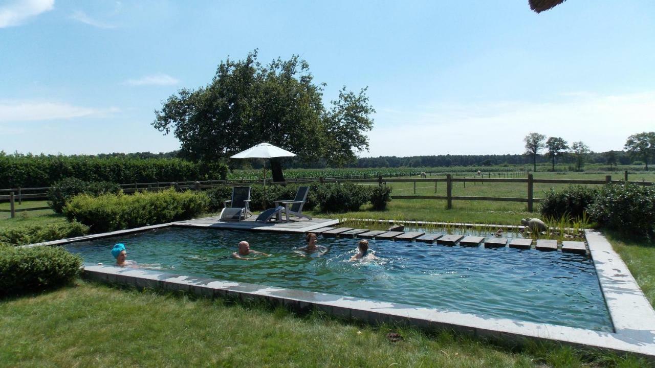 De Weide Poort Bed and Breakfast Beerse Eksteriør billede
