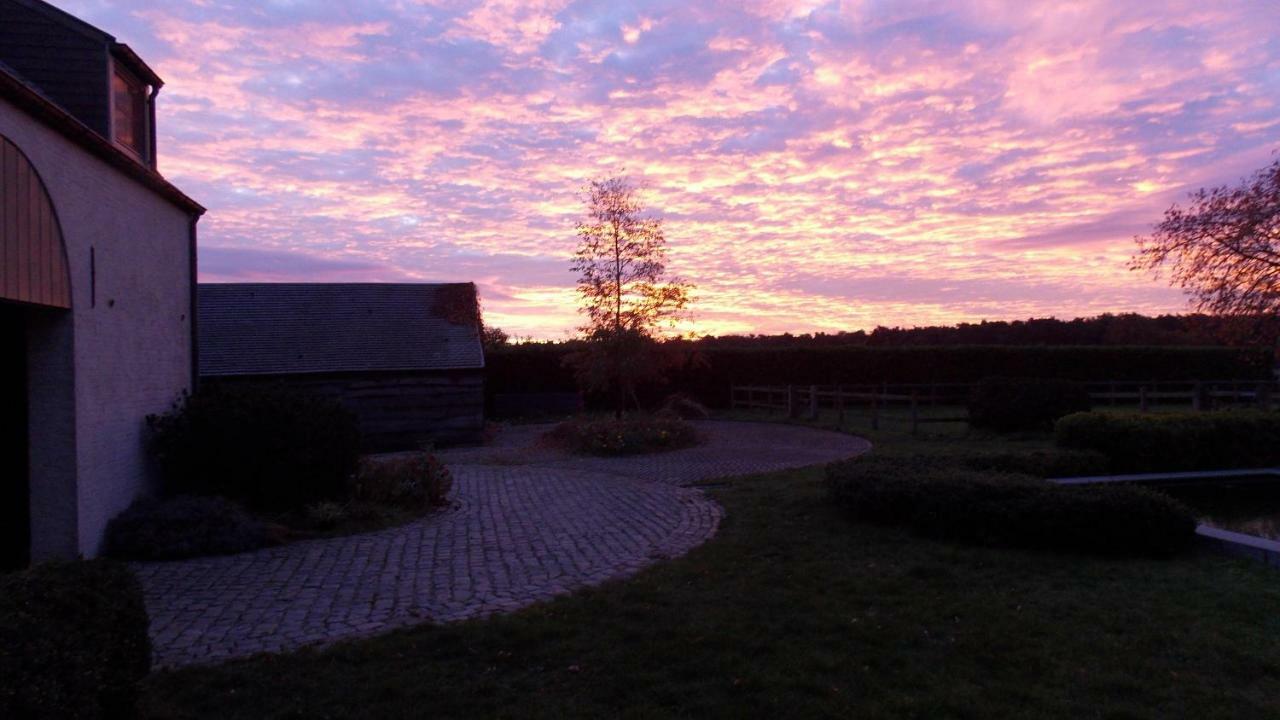 De Weide Poort Bed and Breakfast Beerse Eksteriør billede